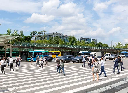 2025년 교통사고 분석
